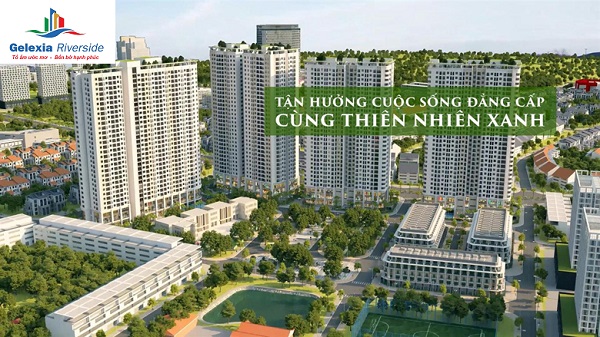 GELEXIA 885 TAM TRINH