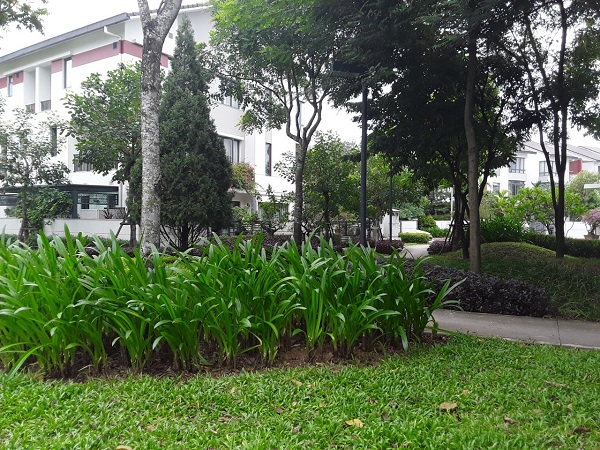 Biệt thự SD5 Iris Homes Gamuda City