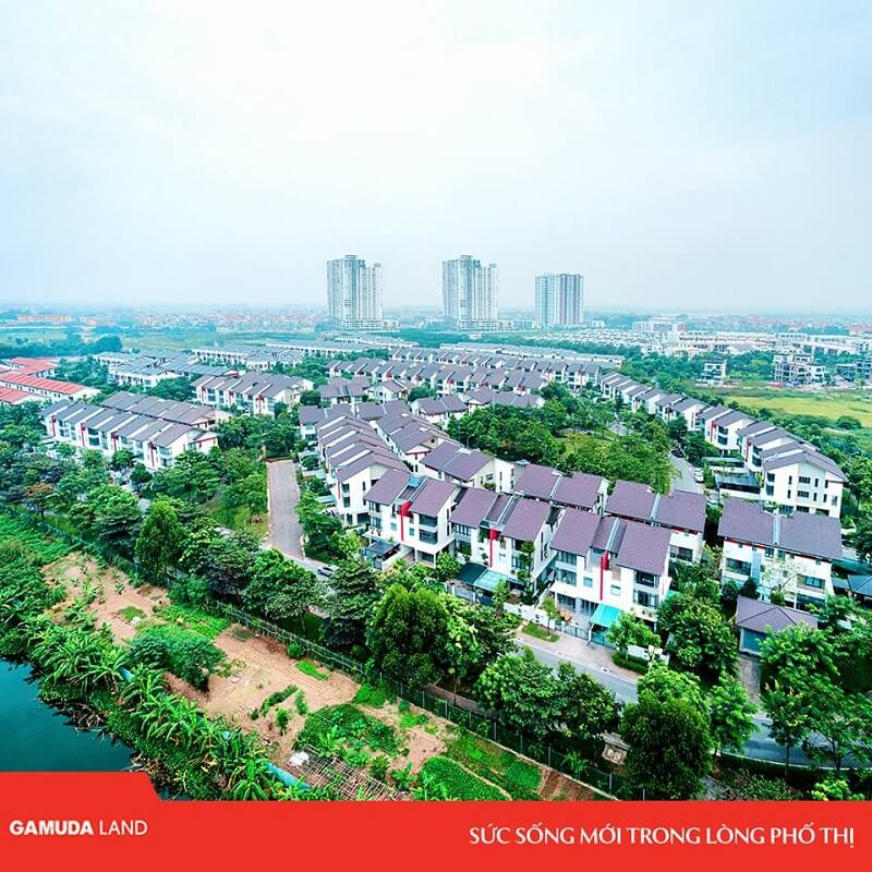 SỨC SỐNG MỚI 