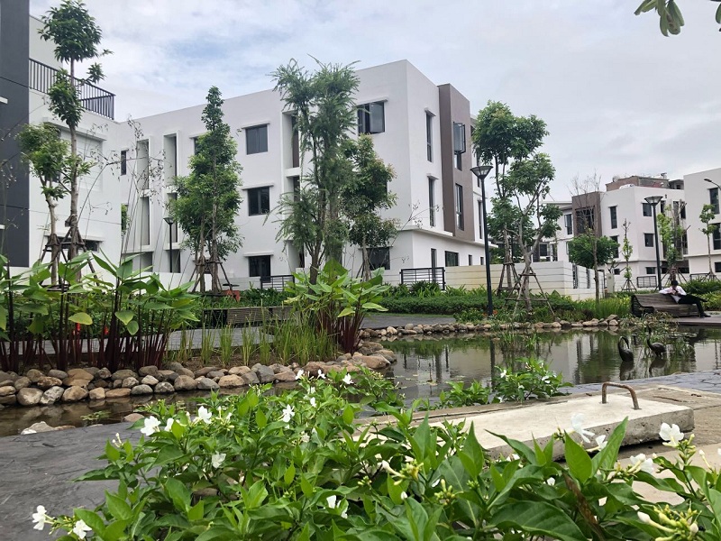  liền kề sổ đỏ 