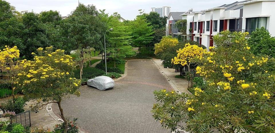 giá liền kề gamuda