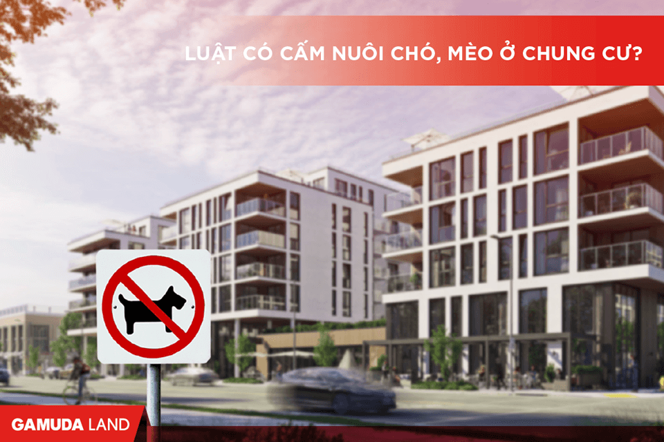 nuôi chó mèo