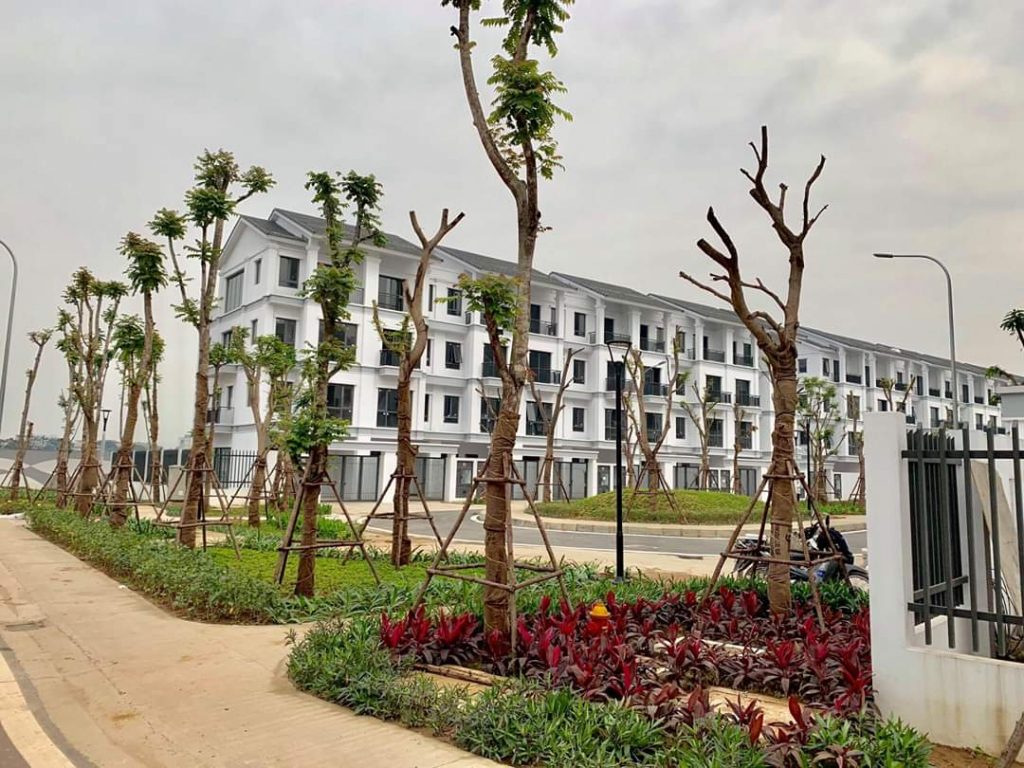 Liền kê St5 Gamuda Dahlia Homes