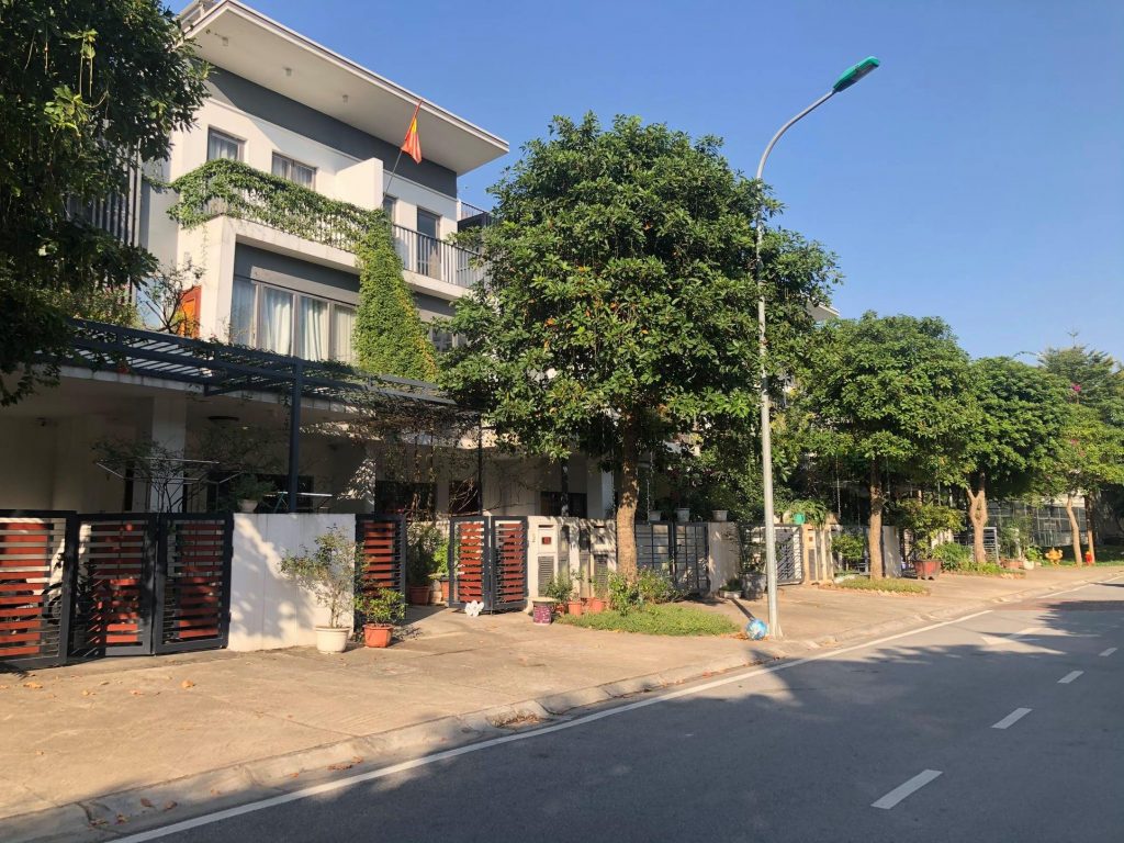 khu st3 đường 3.6 lily homes gamuda