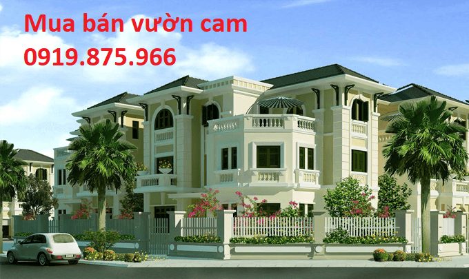 Biệt thự vườn vườn Cam