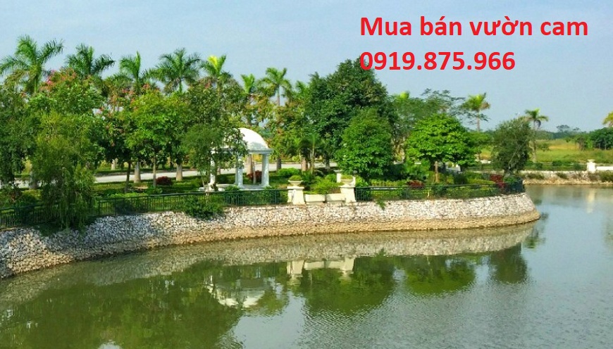 Hồ khu đô thị vườn cam
