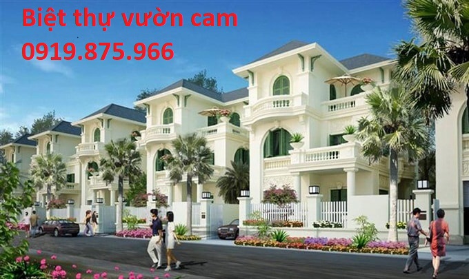 mẫu biệt thự song lập vườn cam