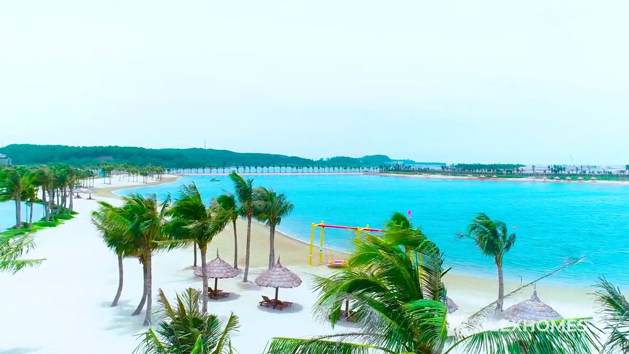 Bãi biển Dragon Ocean